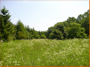 Sarkwitz-Landschaft-1